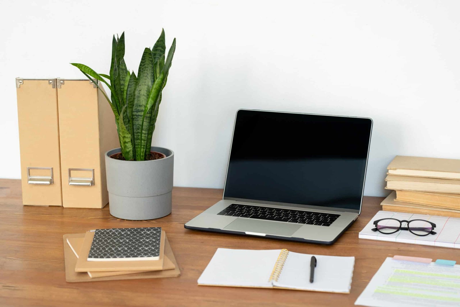 Workplace with laptop, potted plant, notebooks and books